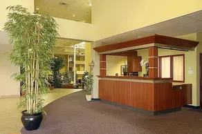 Hotel Le Mirage Blainville - Reception