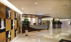 Vistacay Hotel Worldcup - Réception