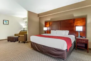 Comfort Suites Smyrna - Nashville Area - Chambre