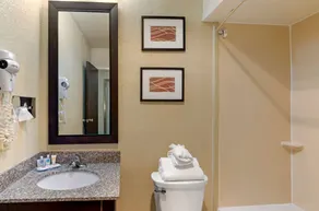 Comfort Inn Bluefield - Badrum
