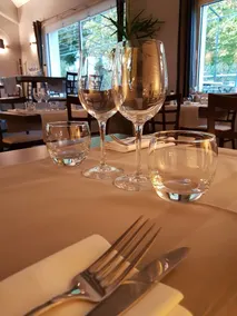 Hôtel des Alpes, Gréoux Les Bains - Restaurant