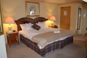 The Olde Windmill Inn - Room