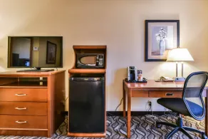 Comfort Inn & Suites Ambassador Bridge - Chambre