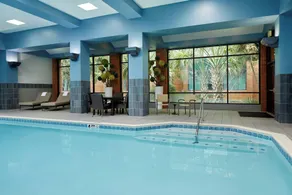 Marriott DFW Airport South - Piscine