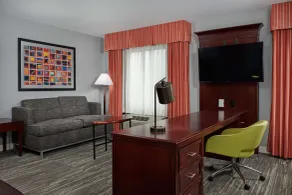 Hampton Inn & Suites Denver/Highlands Ranch - Chambre