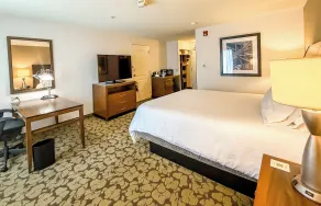 Hilton Garden Inn Gilroy - Chambre