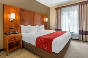 Comfort Suites Newark - Harrison - Chambre