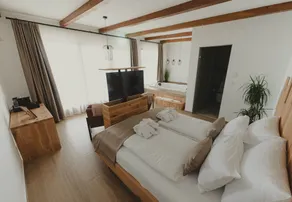 Zemunice Knezevic - Room