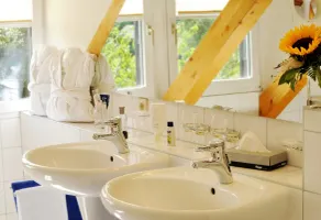 Landidyll Hotel Erbgericht Tautewalde - Bathroom