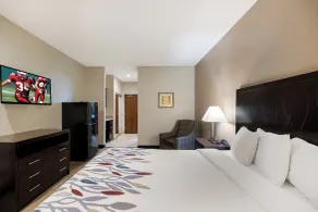 Red Roof Inn Pecos - Værelse