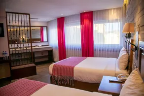 Hotel Alameda Centro Historico - Vue de la chambre