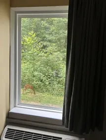 WoodSpring Suites Atlanta Airport - Utsikt från rummet
