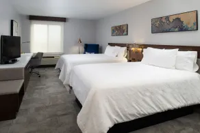 Hilton Garden Inn Baton Rouge Airport - Chambre