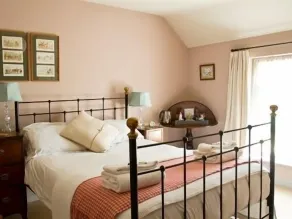 The Dabbling Duck - Room