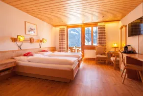 Alpenhof - Chambre