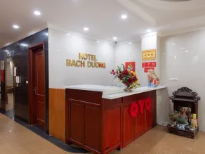 Super OYO Capital O 387 Bach Duong Hotel - Rezeption