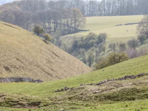 Shepherds Retreat - Interiør