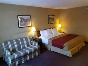 Econo Lodge Brainerd - Værelse