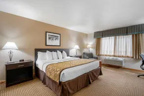 Best Western Pinedale Inn - Room