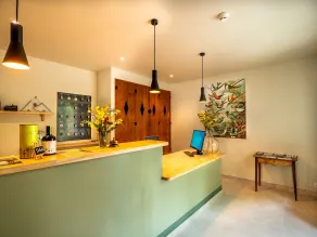 Hôtel & SPA Ventoux Provence "Domaine des Tilleuls" - Reception