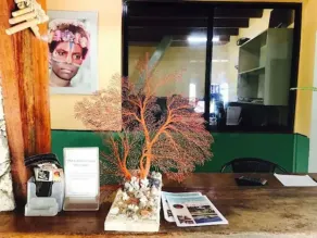 Tanna Evergreen Resort & Tours - Reception