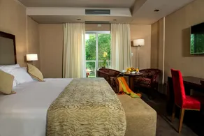 Falls Iguazú Hotel & Spa - Room