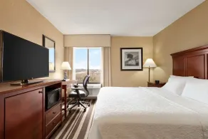 Hampton Inn Washington-Dulles Int'l Airport South - Chambre