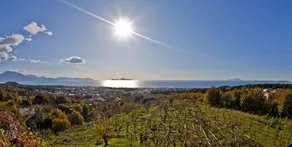 Tenuta Le Fornacelle - Udsigt fra værelset