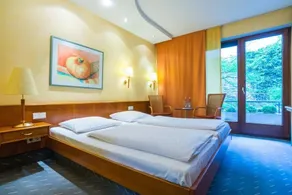 Zum Roten Bären - Room