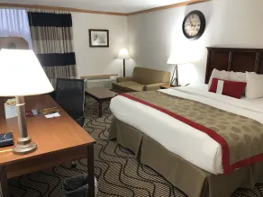 Ramada by Wyndham Birmingham Airport - Vue de la chambre