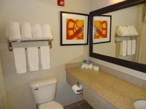 Holiday Inn Express Hotel & Suites Columbus Southeast Groveport by IHG - Bathroom