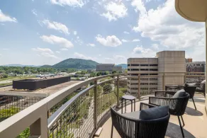 Hampton Inn & Suites Roanoke-Downtown - Udsigt fra værelset