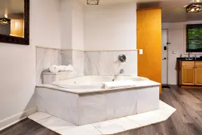 Catskill Seasons Inn - Banheiro