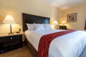 Comfort Inn Near Grand Canyon - Chambre