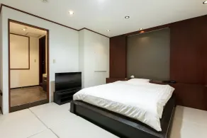 THE MANGA HOTEL TOGO - Camera