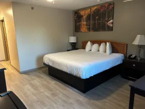 Park Inn - Zimmer