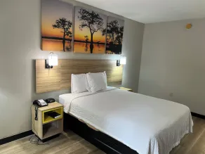 Days Inn by Wyndham Blythewood North Columbia - Værelse