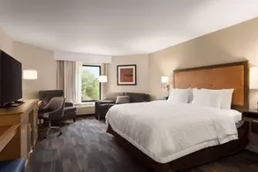Hampton Inn by Hilton Fort Smith - Chambre