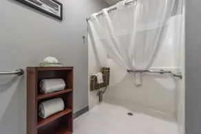 Comfort Inn Kent - Seattle - Salle de bain