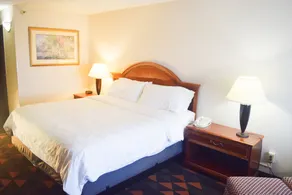 Holiday Inn Great Falls-Convention Center by IHG - Room