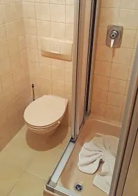 Ferienwohnung Beim Raffner, Bergblick, Natur, Ruhpolding - Badezimmer