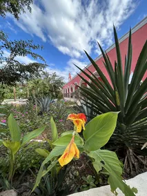 Hacienda Maria Elena Yucatán - Pool