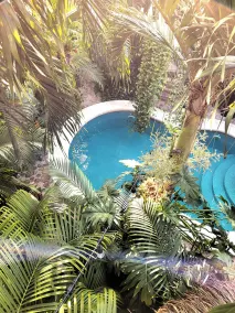 The Secret Garden Tulum - Utsikt från rummet