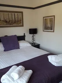 The George Inn Middle Wallop - Room