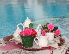 Villa Harmony - Piscine