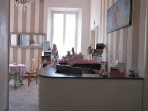 BB La Bella Addormentata e il Principe Calaf - Réception