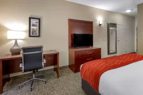 Comfort Inn & Suites Canton Riverstone Area - Chambre