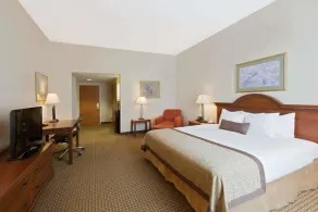 Wingate by Wyndham Charlotte Airport - Chambre