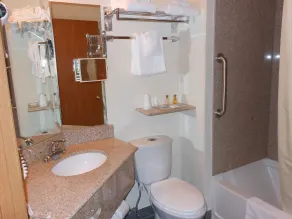 Quality Inn & Suites Red Wing - Salle de bain