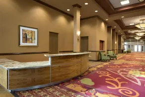 Embassy Suites Omaha-La Vista/Hotel & Conference Center - Receção